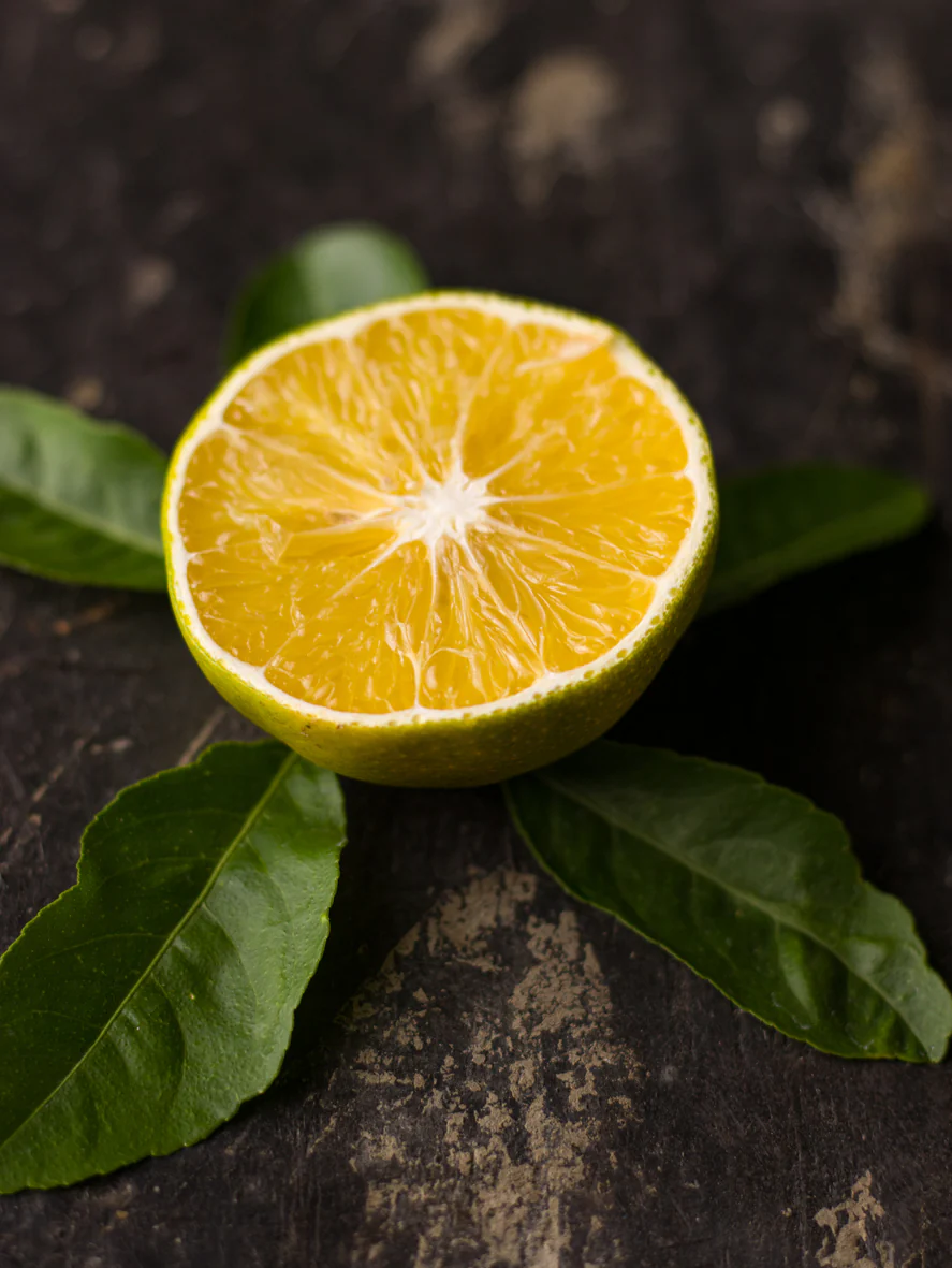Citrus Persian Sweet Lime Limu Shirin - Image 2