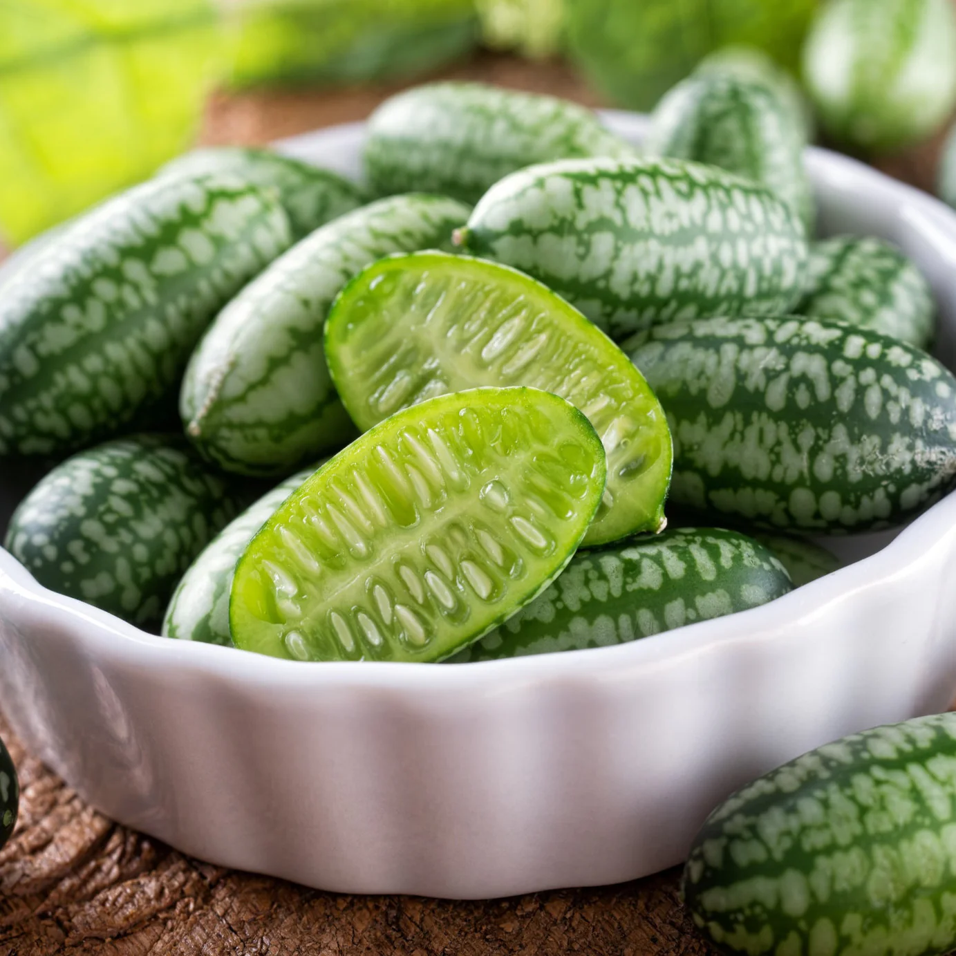 Cucamelon Mini Cucumber Melothria scabra