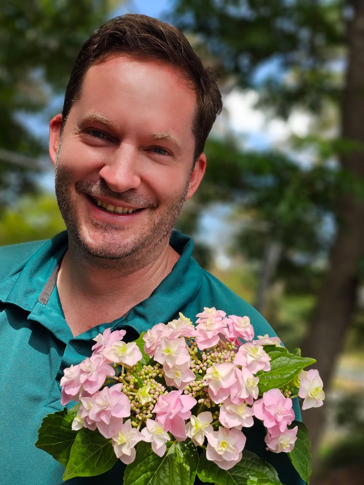 Hydrangea Marks Special - growing - ready October 2026 - Image 3