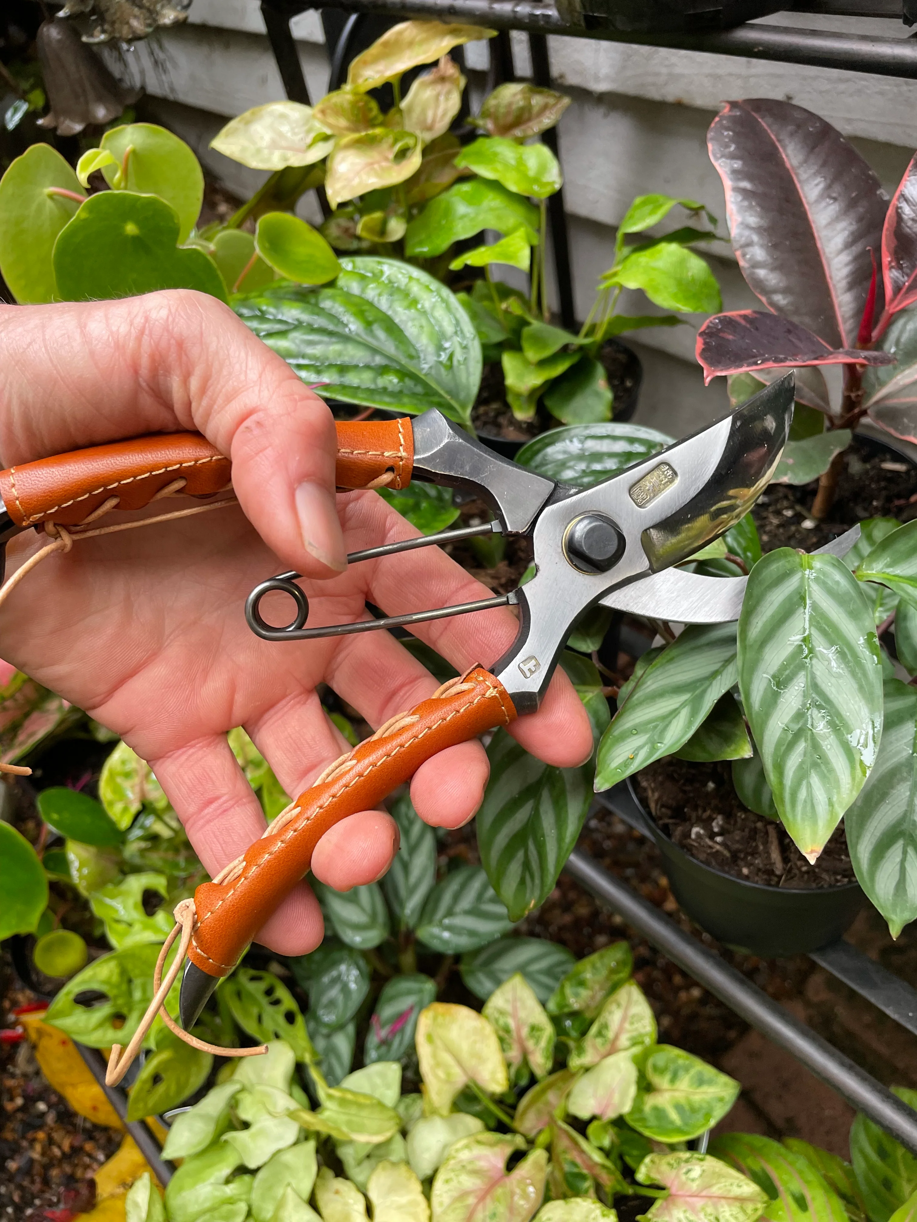 Japanese Handcrafted Secateurs High Carbon Steel Hand Laced Leather Handles - Parallel Curved Handles - Image 2